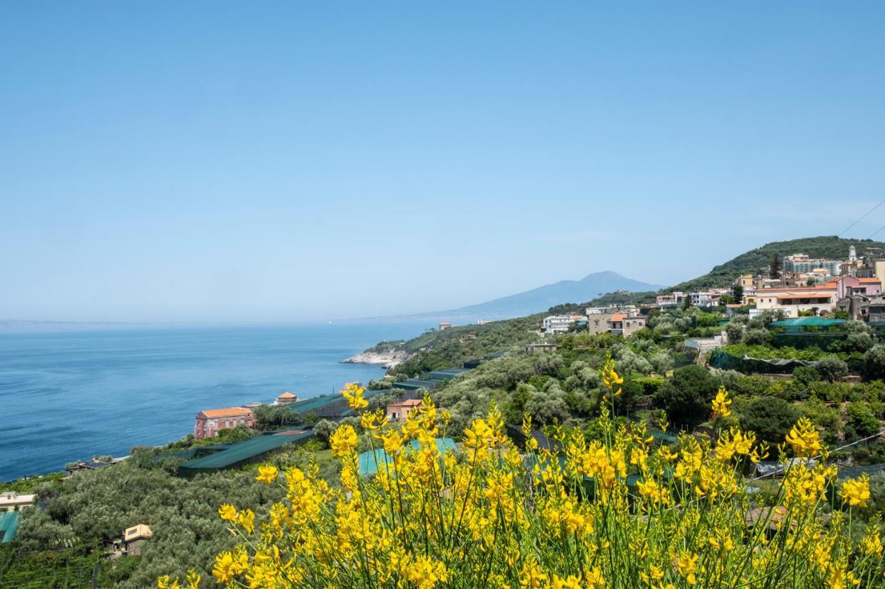 Neva Suites Massa Lubrense Sorrento Coast Exterior photo