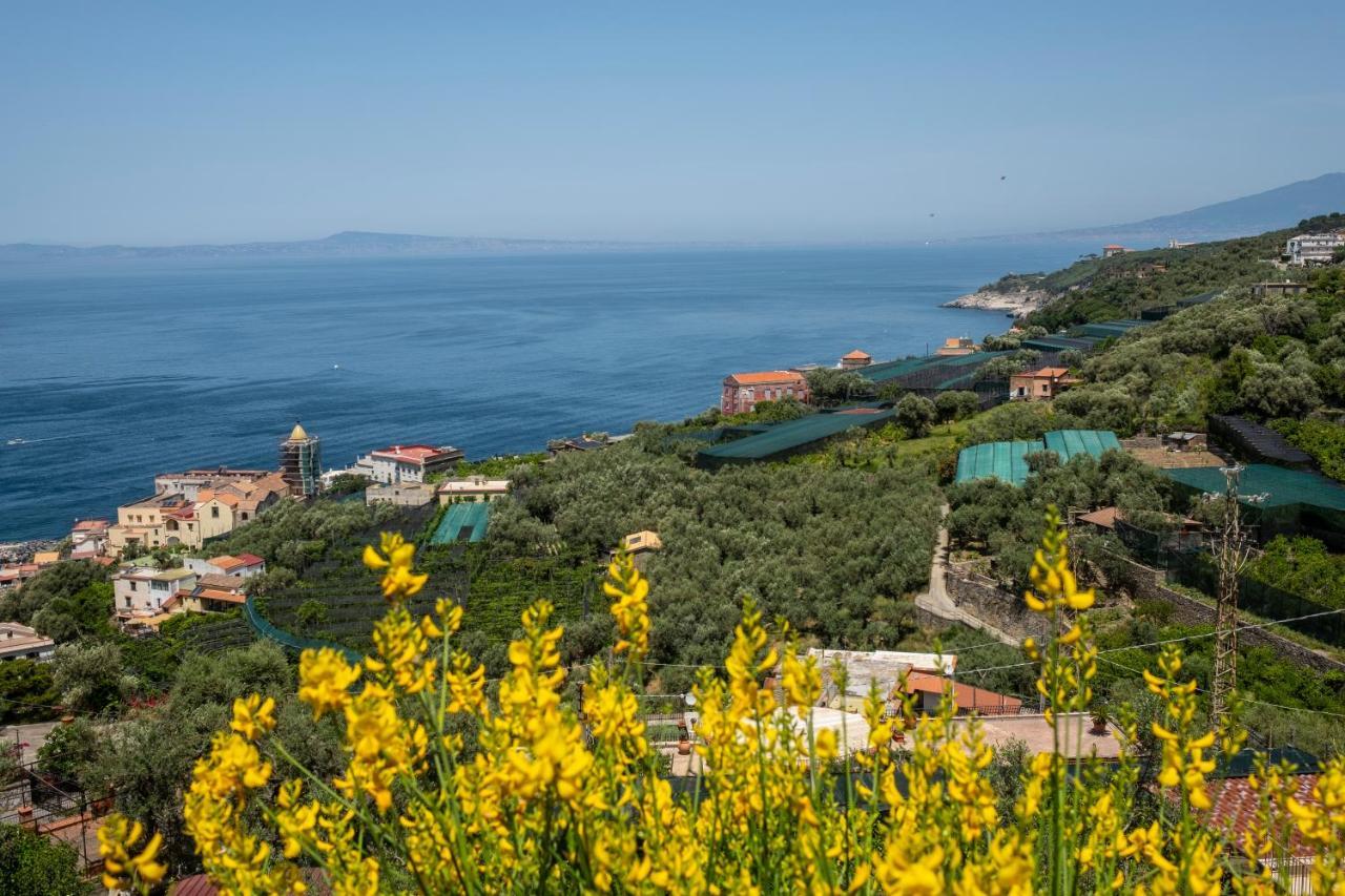 Neva Suites Massa Lubrense Sorrento Coast Exterior photo